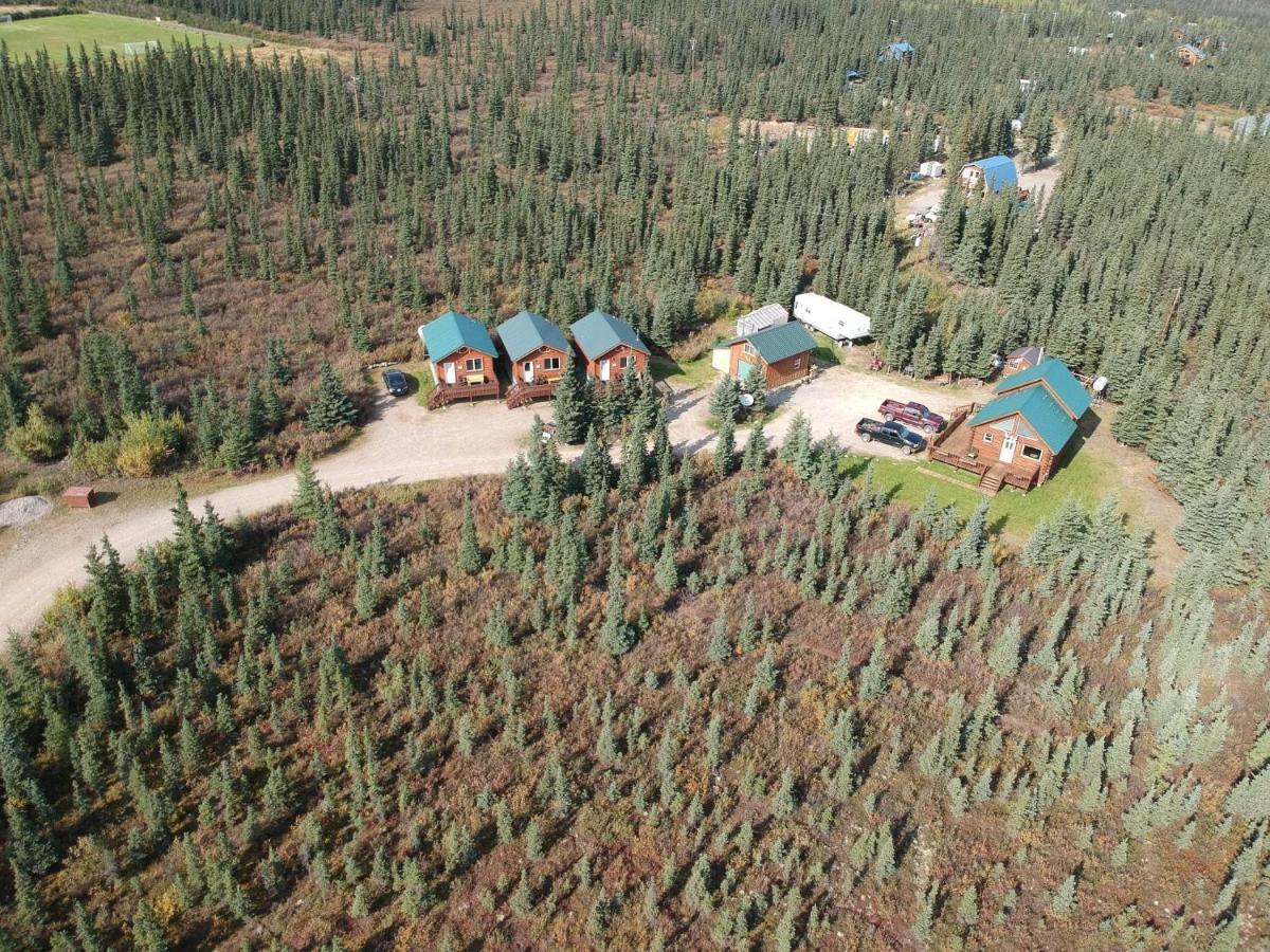 Denali'S Alaskan Spruce Cabins Healy Dış mekan fotoğraf