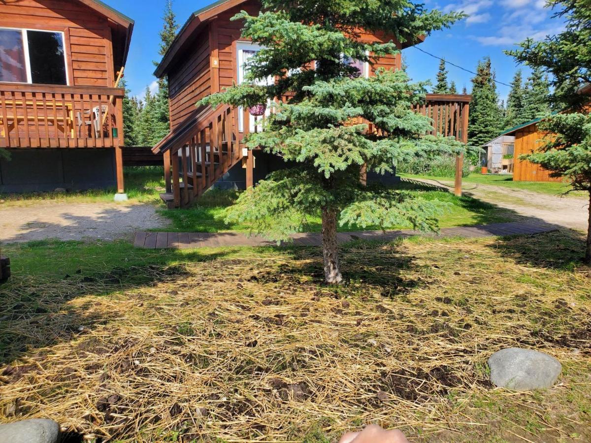 Denali'S Alaskan Spruce Cabins Healy Dış mekan fotoğraf