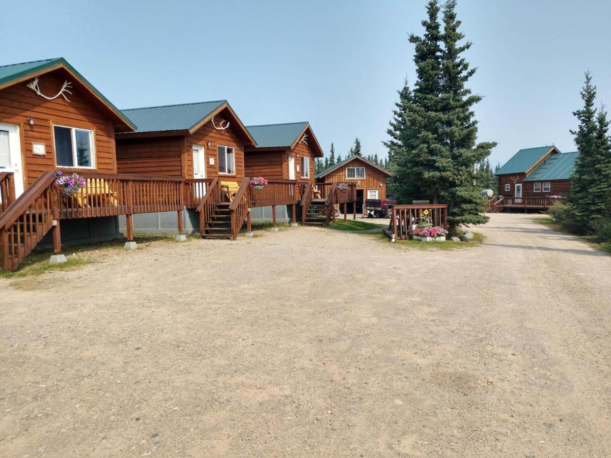 Denali'S Alaskan Spruce Cabins Healy Dış mekan fotoğraf
