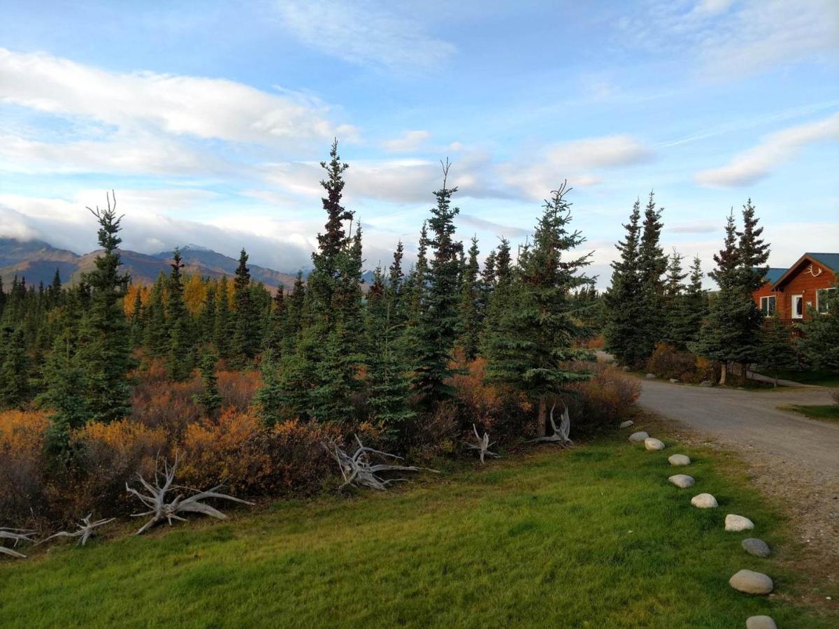 Denali'S Alaskan Spruce Cabins Healy Dış mekan fotoğraf