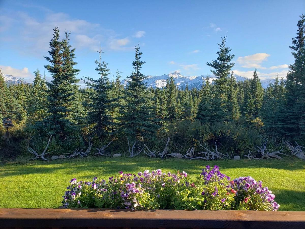 Denali'S Alaskan Spruce Cabins Healy Dış mekan fotoğraf