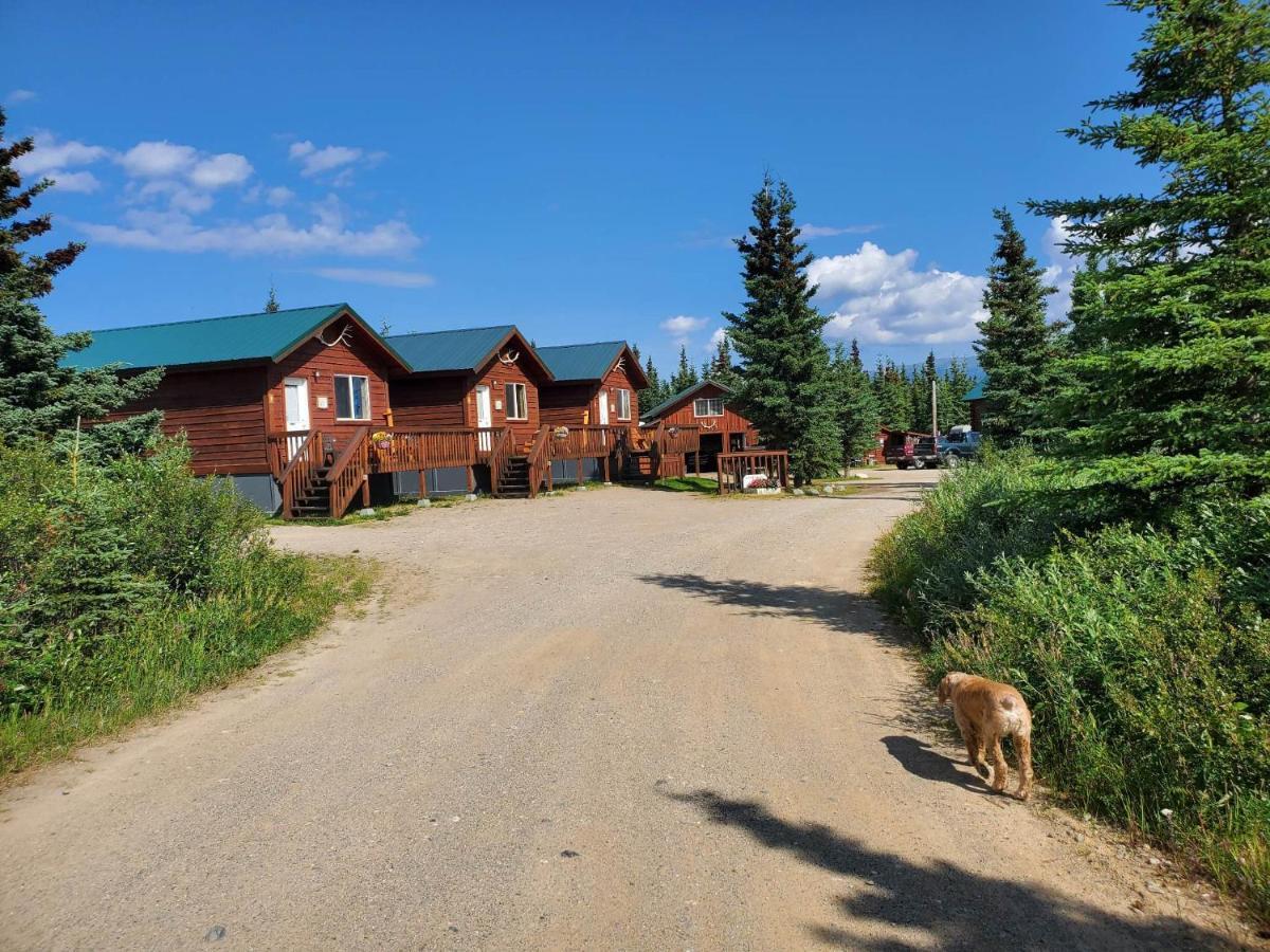 Denali'S Alaskan Spruce Cabins Healy Dış mekan fotoğraf