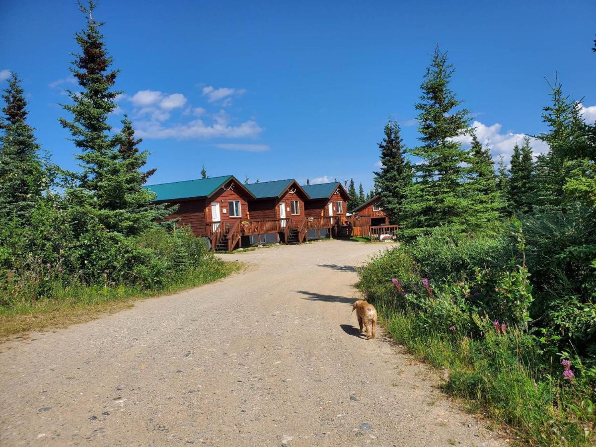 Denali'S Alaskan Spruce Cabins Healy Dış mekan fotoğraf