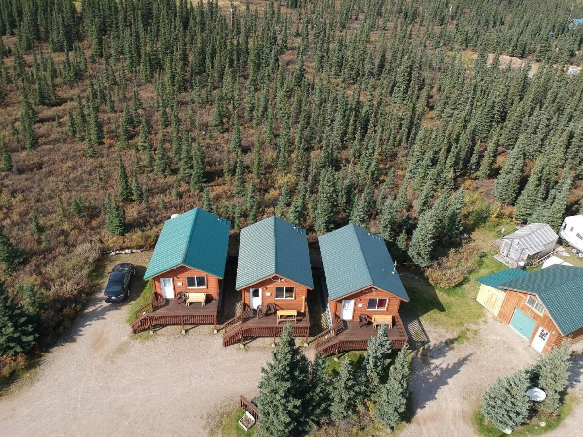 Denali'S Alaskan Spruce Cabins Healy Dış mekan fotoğraf