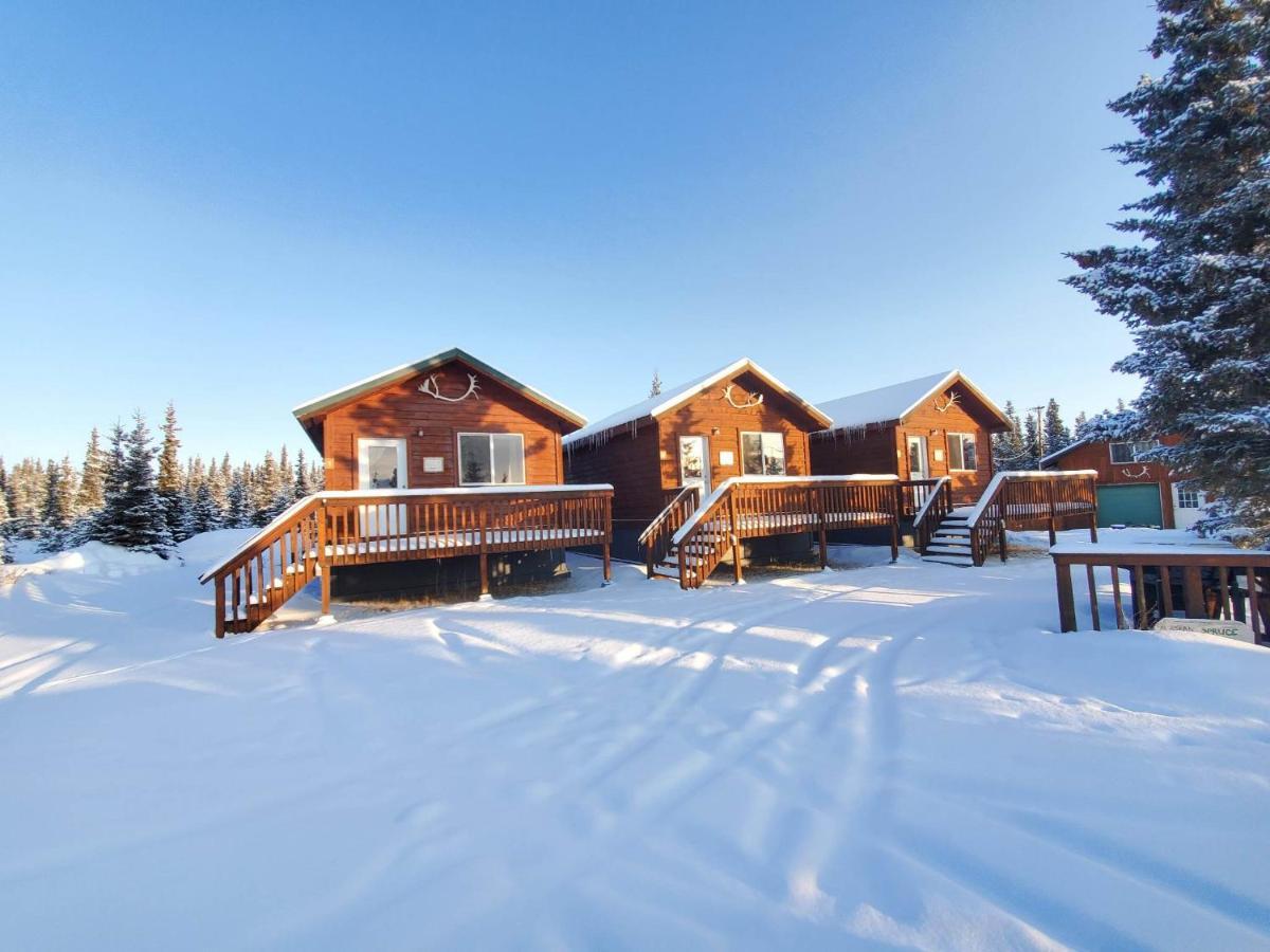 Denali'S Alaskan Spruce Cabins Healy Dış mekan fotoğraf