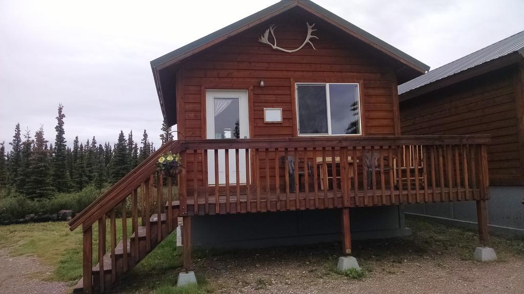 Denali'S Alaskan Spruce Cabins Healy Dış mekan fotoğraf