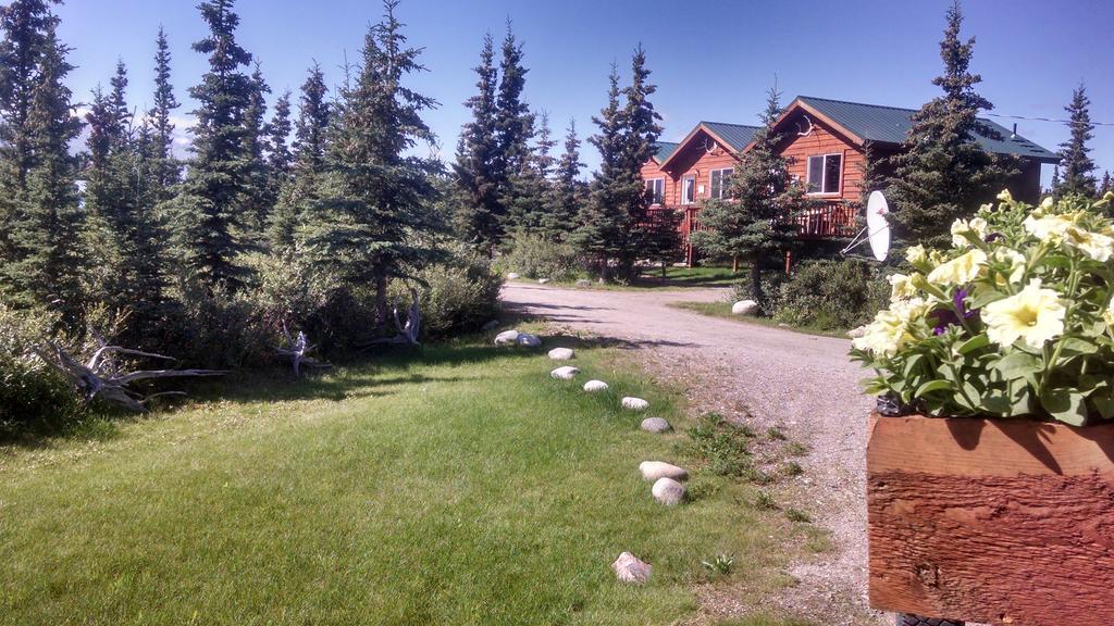 Denali'S Alaskan Spruce Cabins Healy Dış mekan fotoğraf