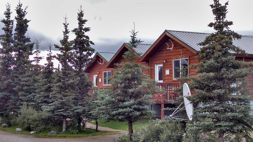 Denali'S Alaskan Spruce Cabins Healy Dış mekan fotoğraf