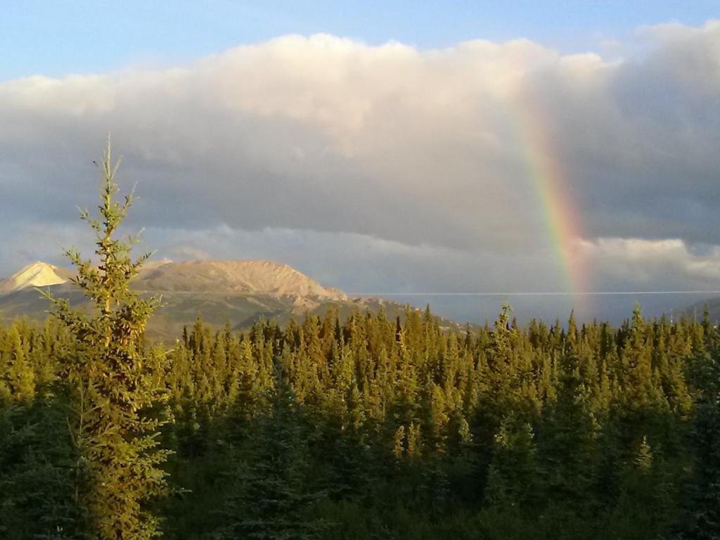 Denali'S Alaskan Spruce Cabins Healy Dış mekan fotoğraf