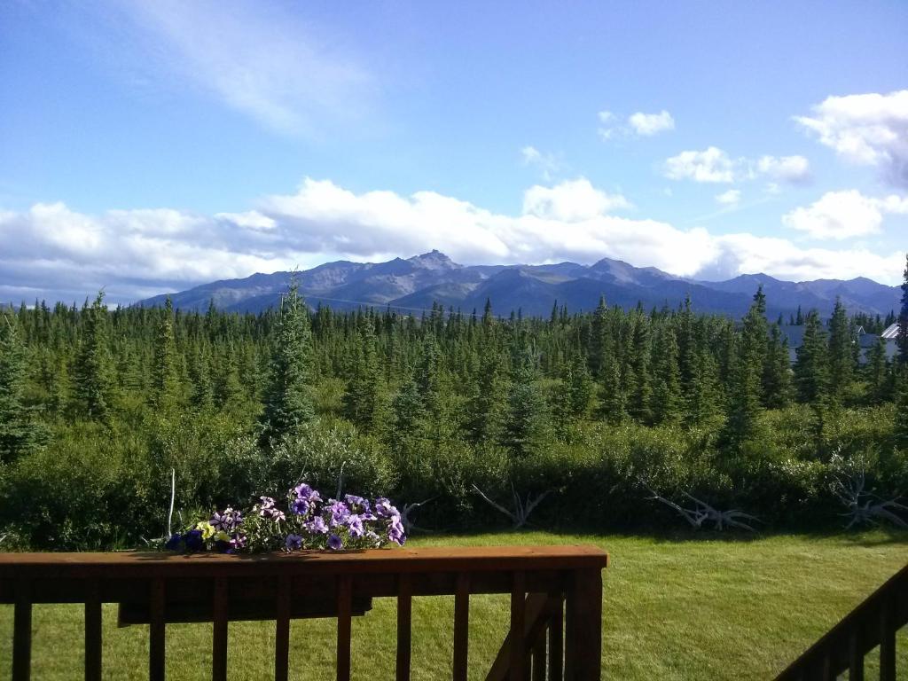 Denali'S Alaskan Spruce Cabins Healy Dış mekan fotoğraf